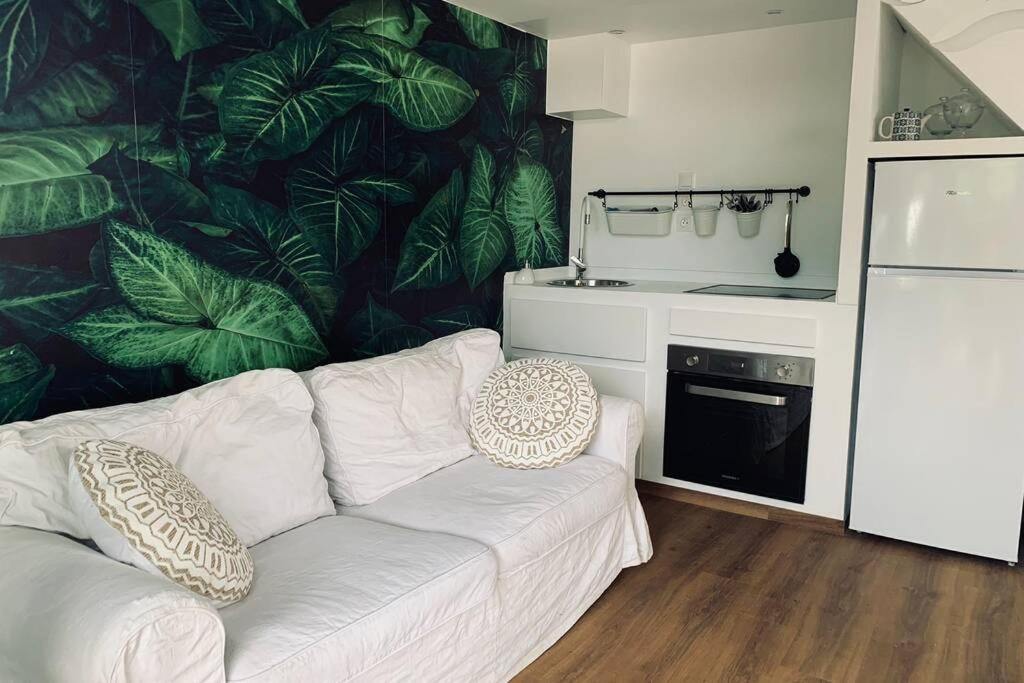 La Caze Amoremieve Pour Un Sejour Cozy A St Pierre Saint Pierre Exterior photo