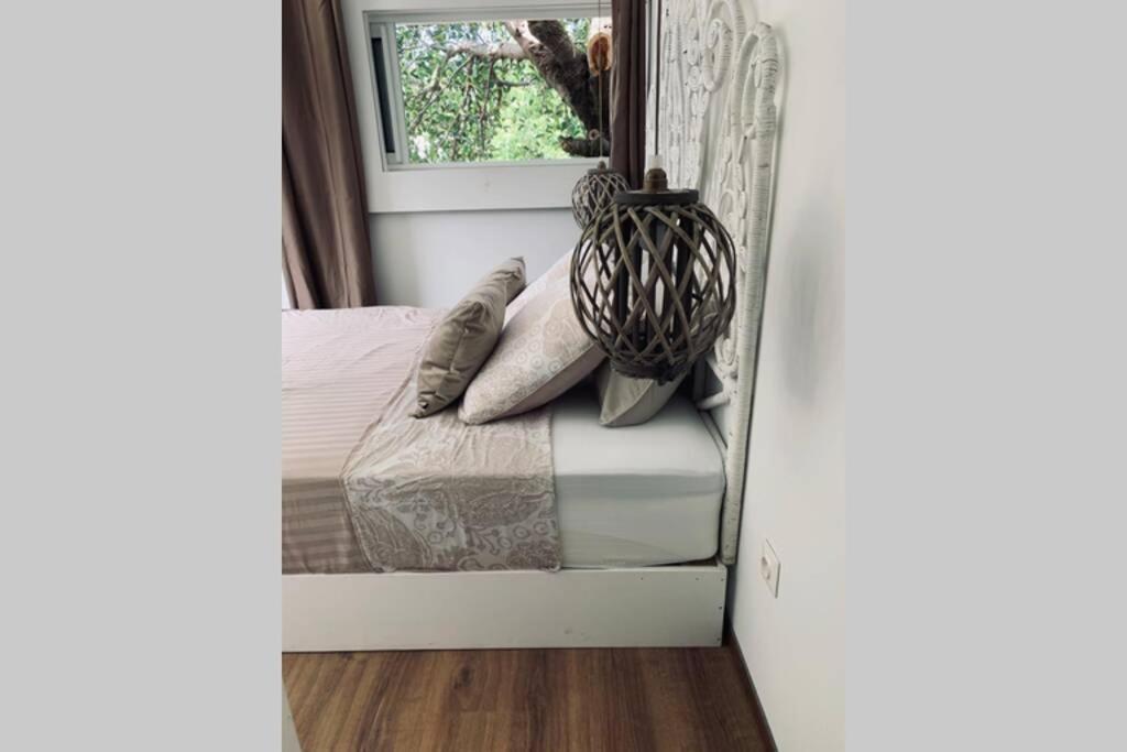 La Caze Amoremieve Pour Un Sejour Cozy A St Pierre Saint Pierre Exterior photo